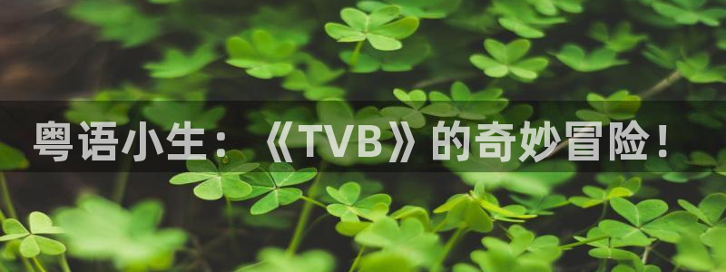 91动漫免费看片：粤语小生：《TVB》的奇妙冒险！